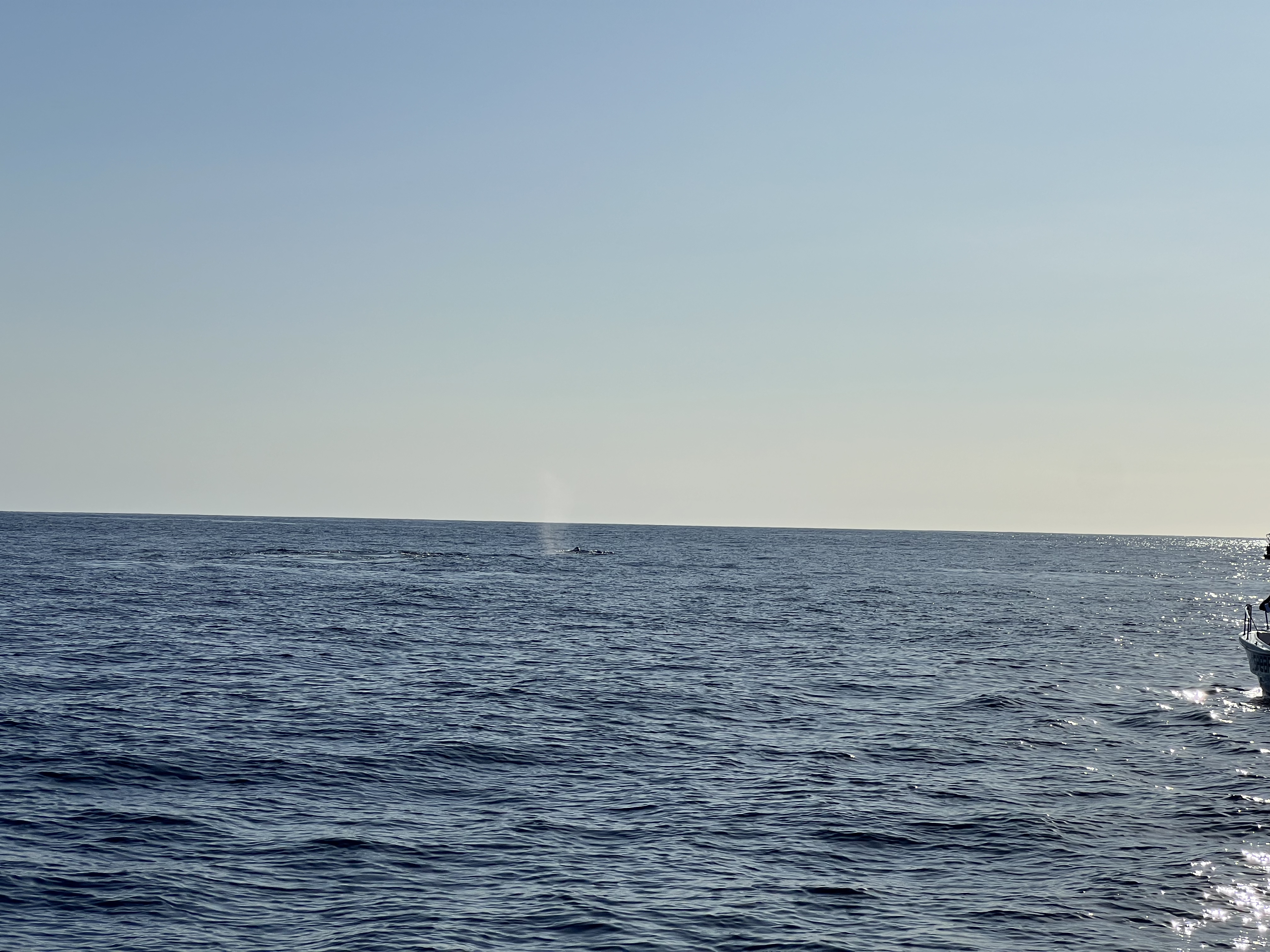 ./2024/13 - Cabo/IMG_4677.jpg